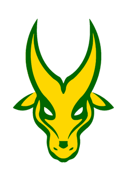 FEU Tamaraws